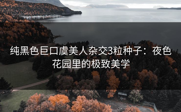 纯黑色巨口虞美人杂交3粒种子：夜色花园里的极致美学