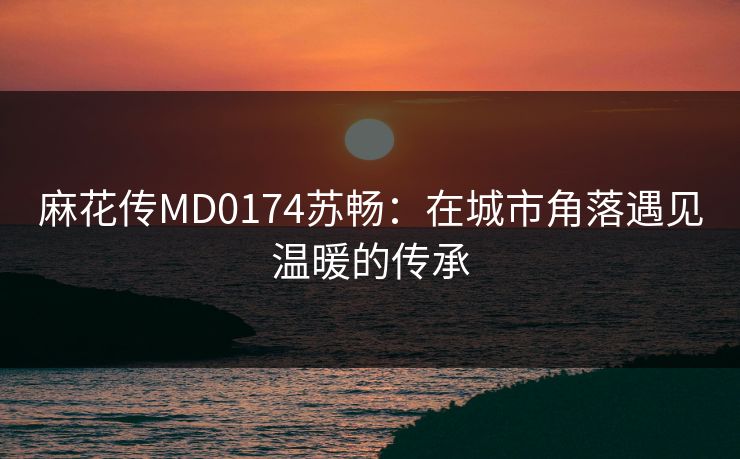 麻花传MD0174苏畅：在城市角落遇见温暖的传承