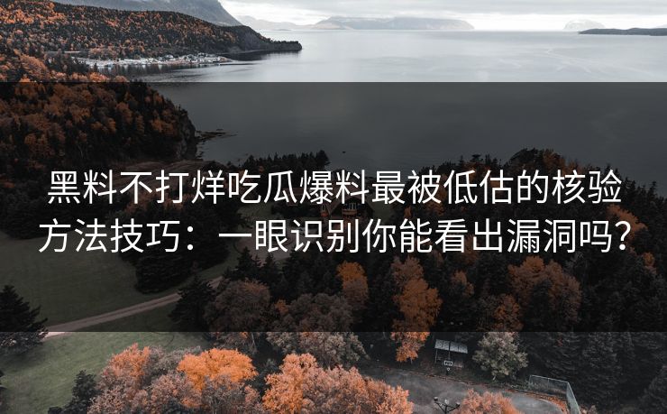 黑料不打烊吃瓜爆料最被低估的核验方法技巧：一眼识别你能看出漏洞吗？